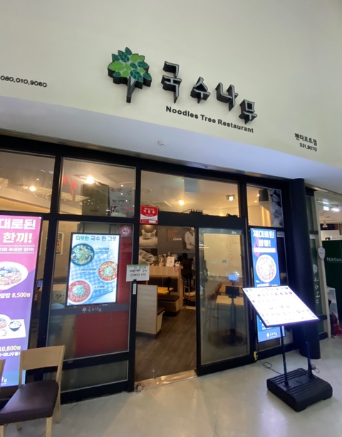 펜타포트국수나무 이미지
