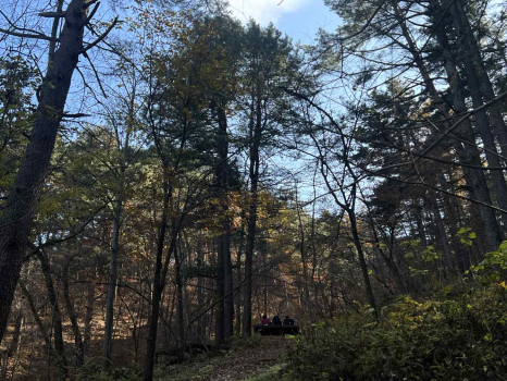 국립대관령치유의숲 이미지