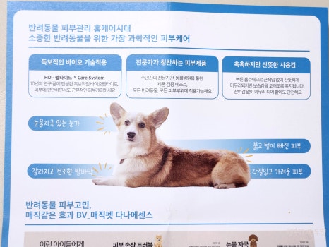 다나펫 이미지