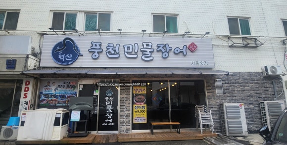 우성장어 이미지
