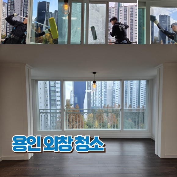 올스클린 이미지