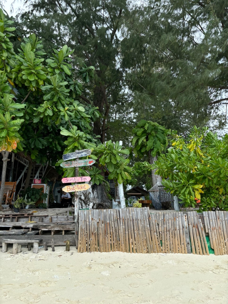 ADANG(아당) 이미지