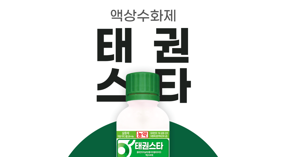 태권스타 이미지