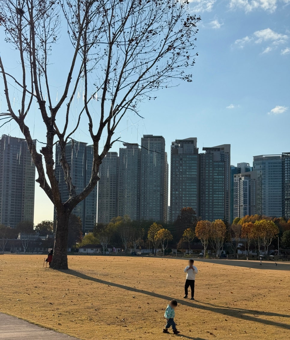 보보투어 이미지