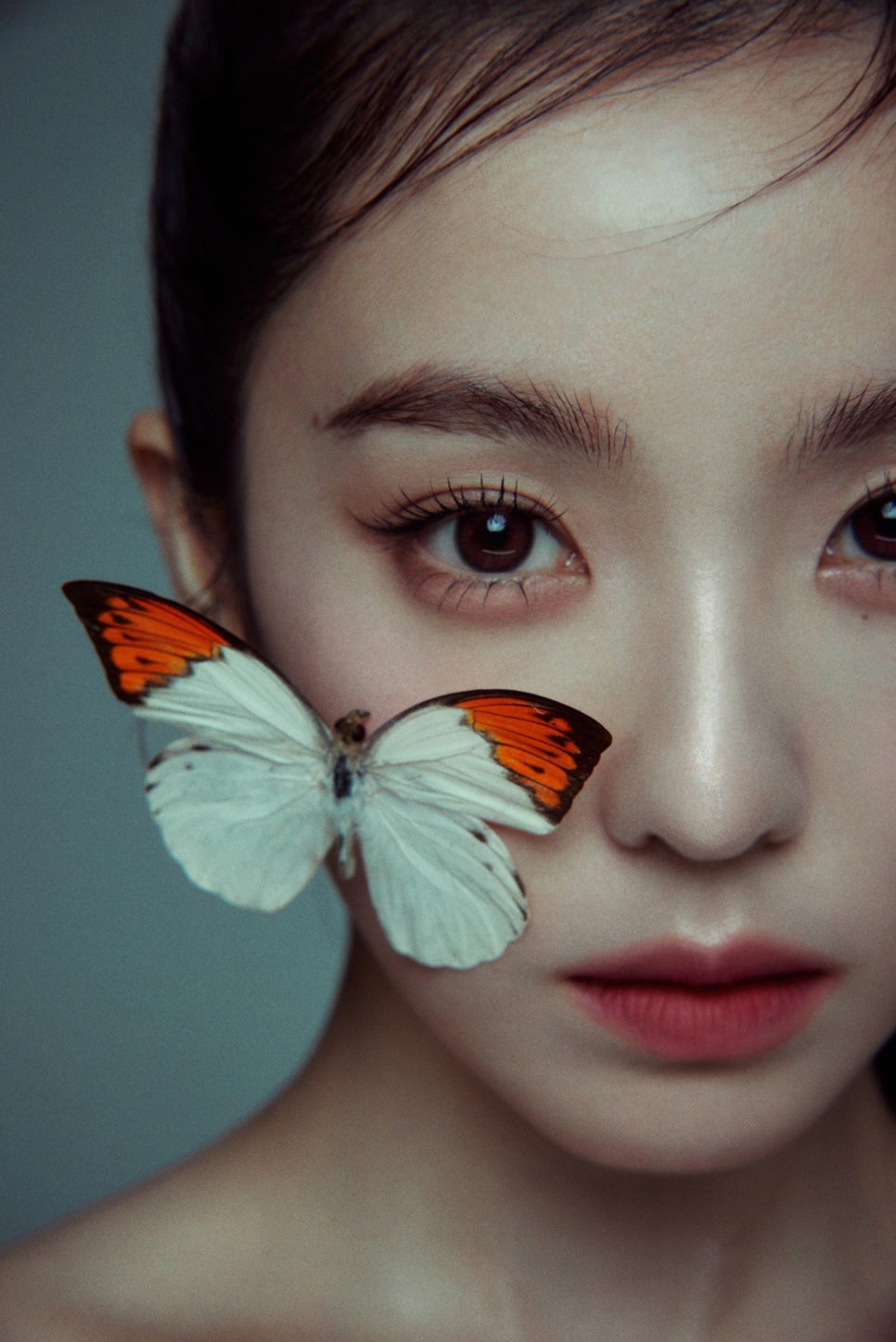 아이린플라워 이미지