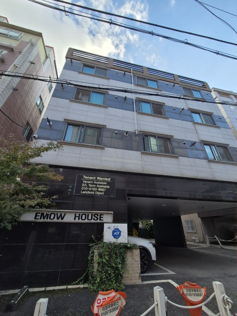 이모우 이미지