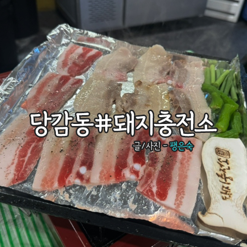 돼지충전소 이미지
