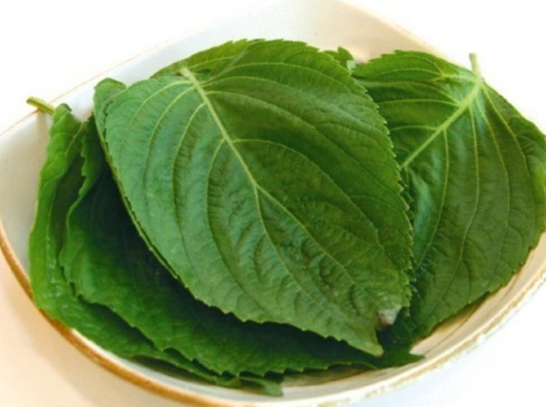 밀양깻잎 이미지