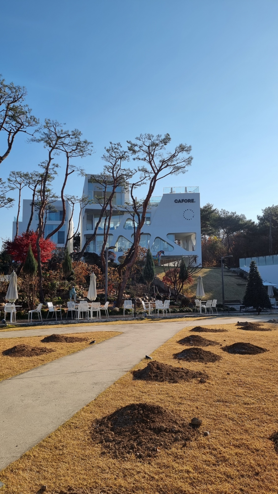 양평강상설렁탕 이미지