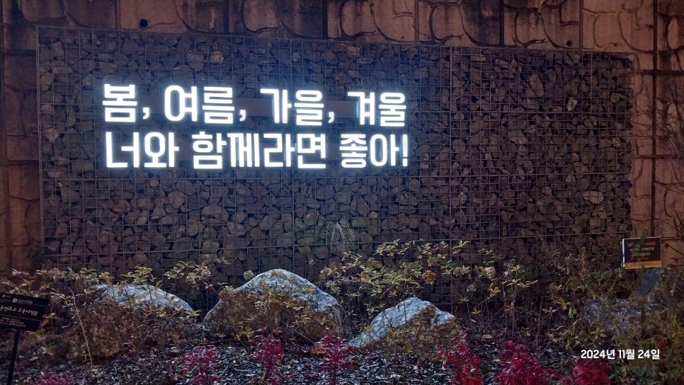 황금족발수원성대점 이미지