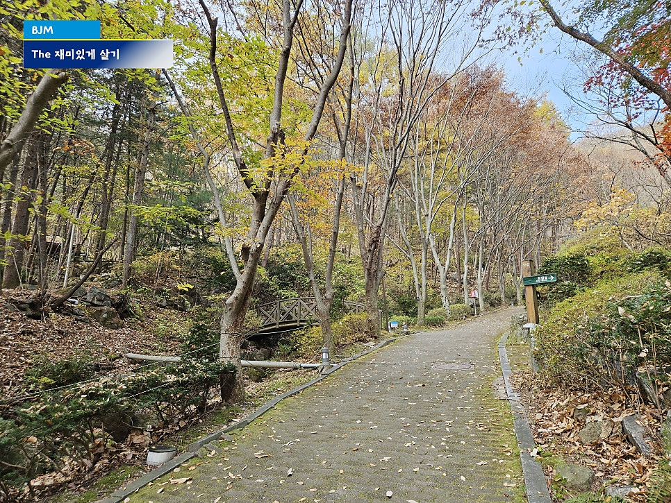 두릉산자연휴양림 이미지