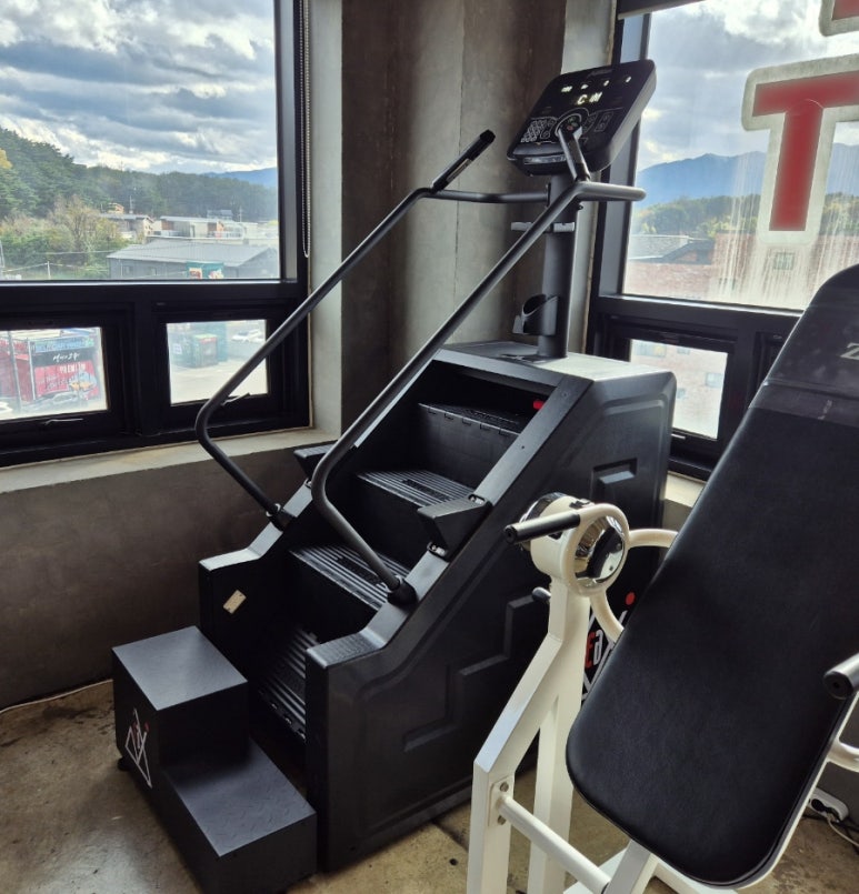 팀엑스짐 이미지