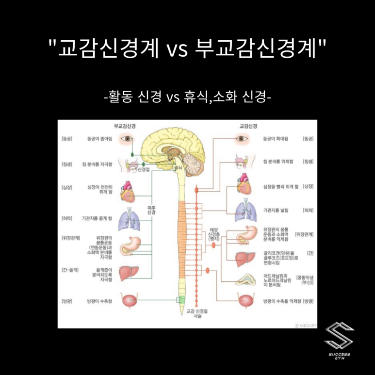 린매스짐 이미지