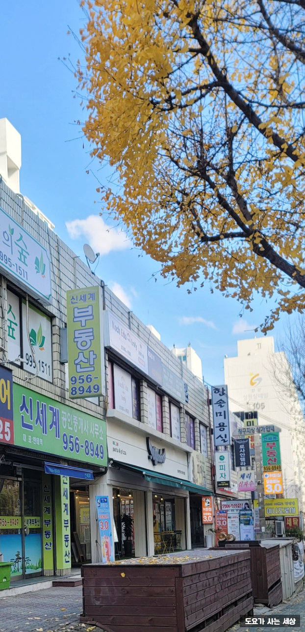 로사안젤라피자파스타 이미지