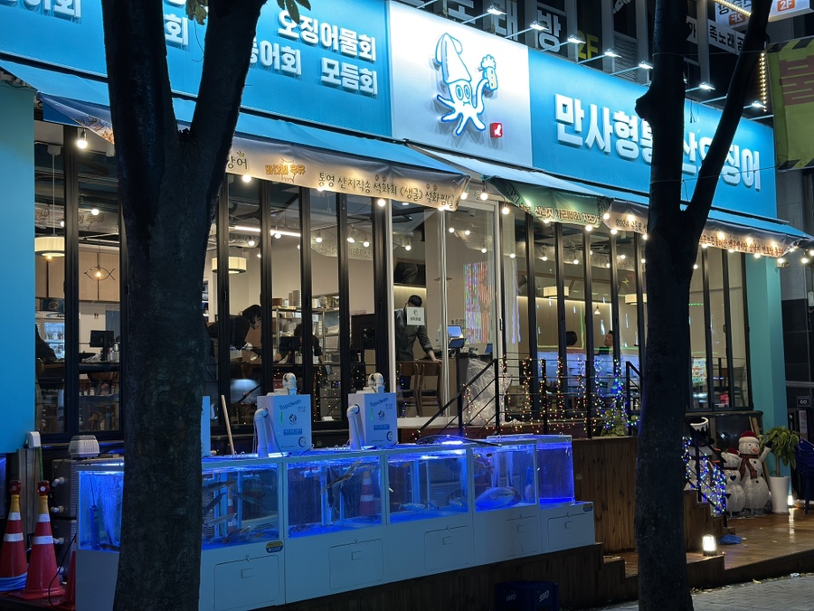 만사형통산오징어 이미지