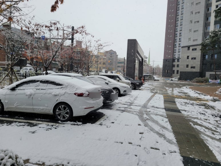 네일메이에르 이미지