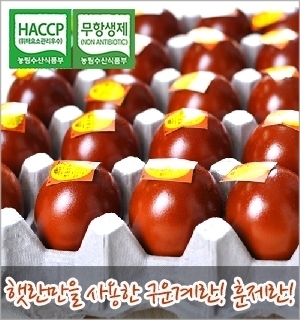 명품구운란 이미지