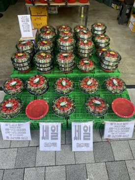 과일아재 이미지