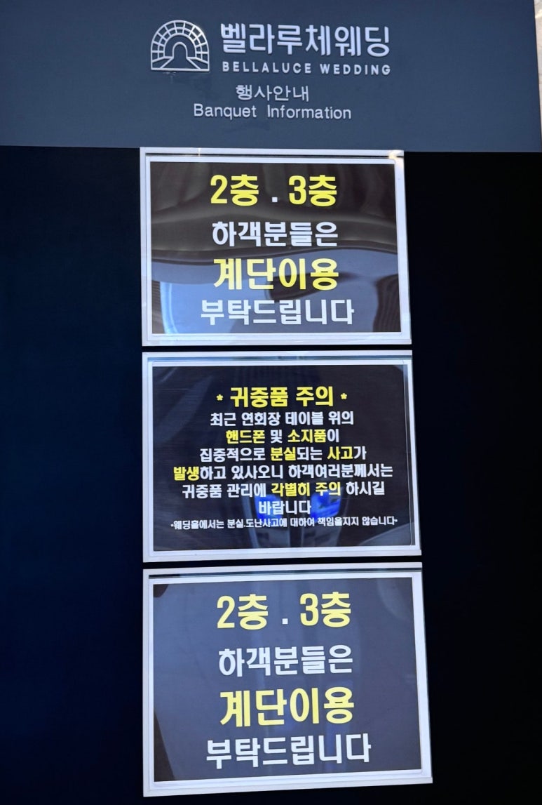 벨라지다 이미지