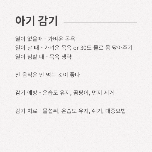 배*열 이미지