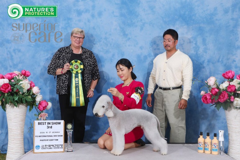 윈애견미용학원 이미지
