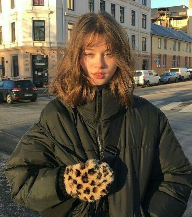반야드 이미지