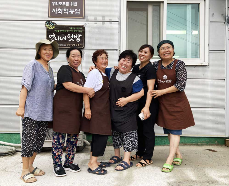 텃밭영농조합법인 이미지