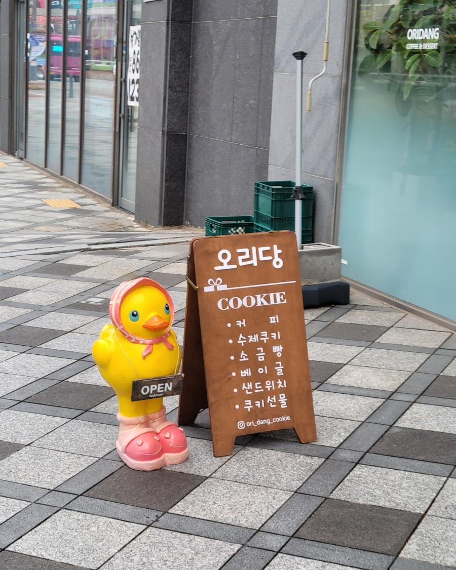 오리당 이미지