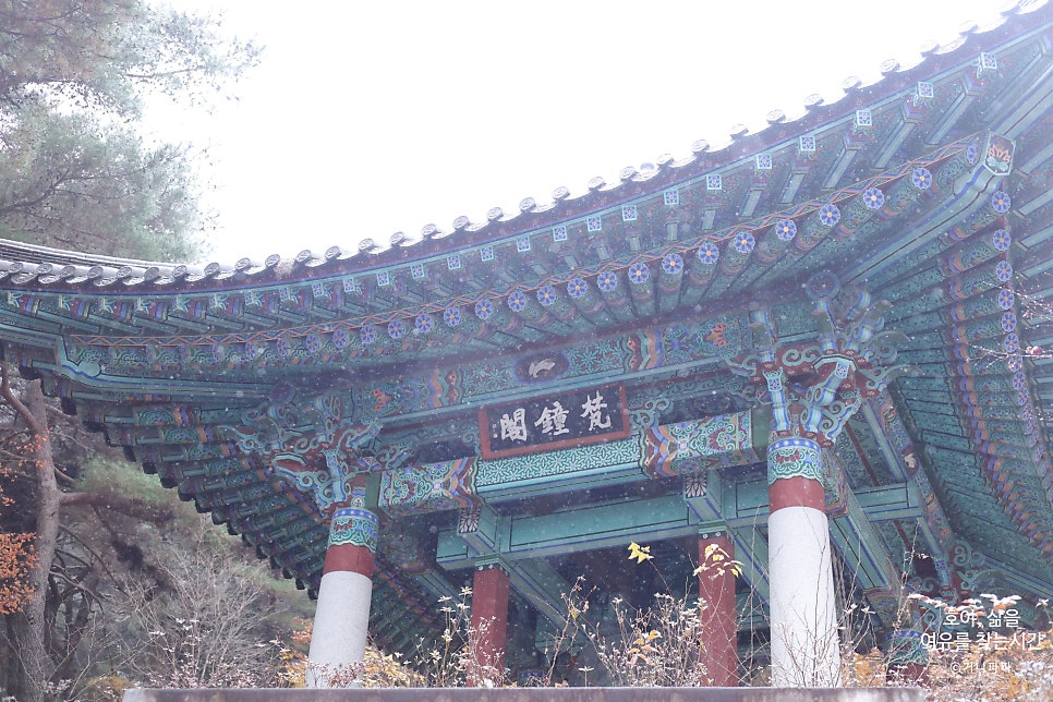 아도전기 이미지