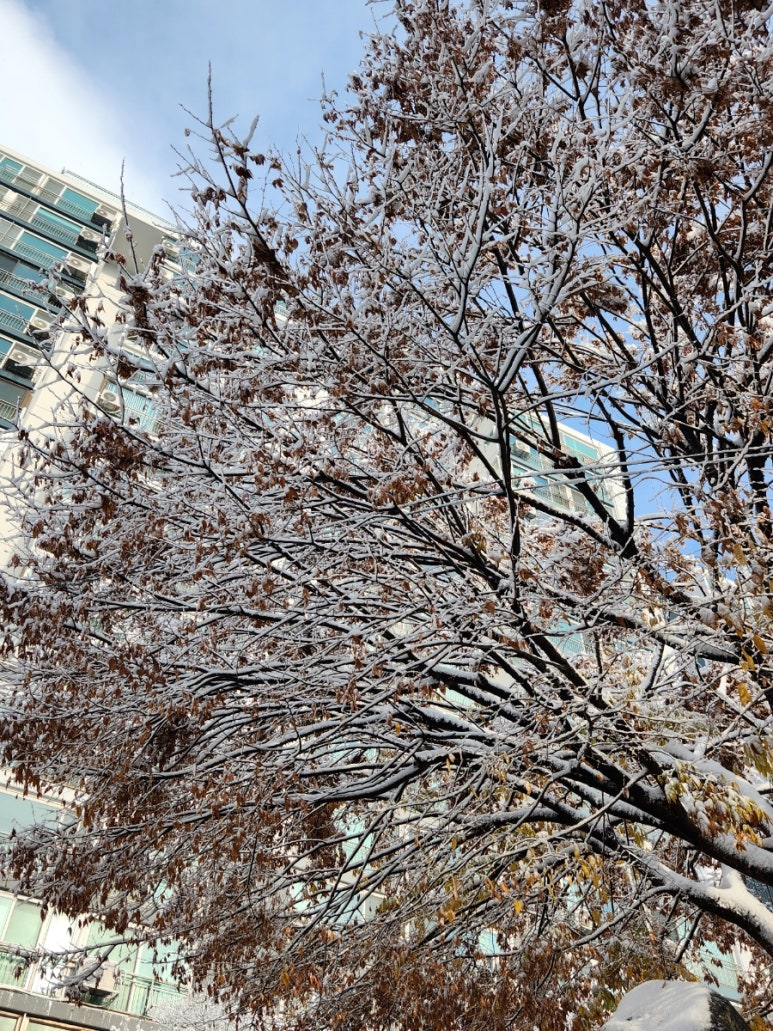 1004 헤어필 이미지
