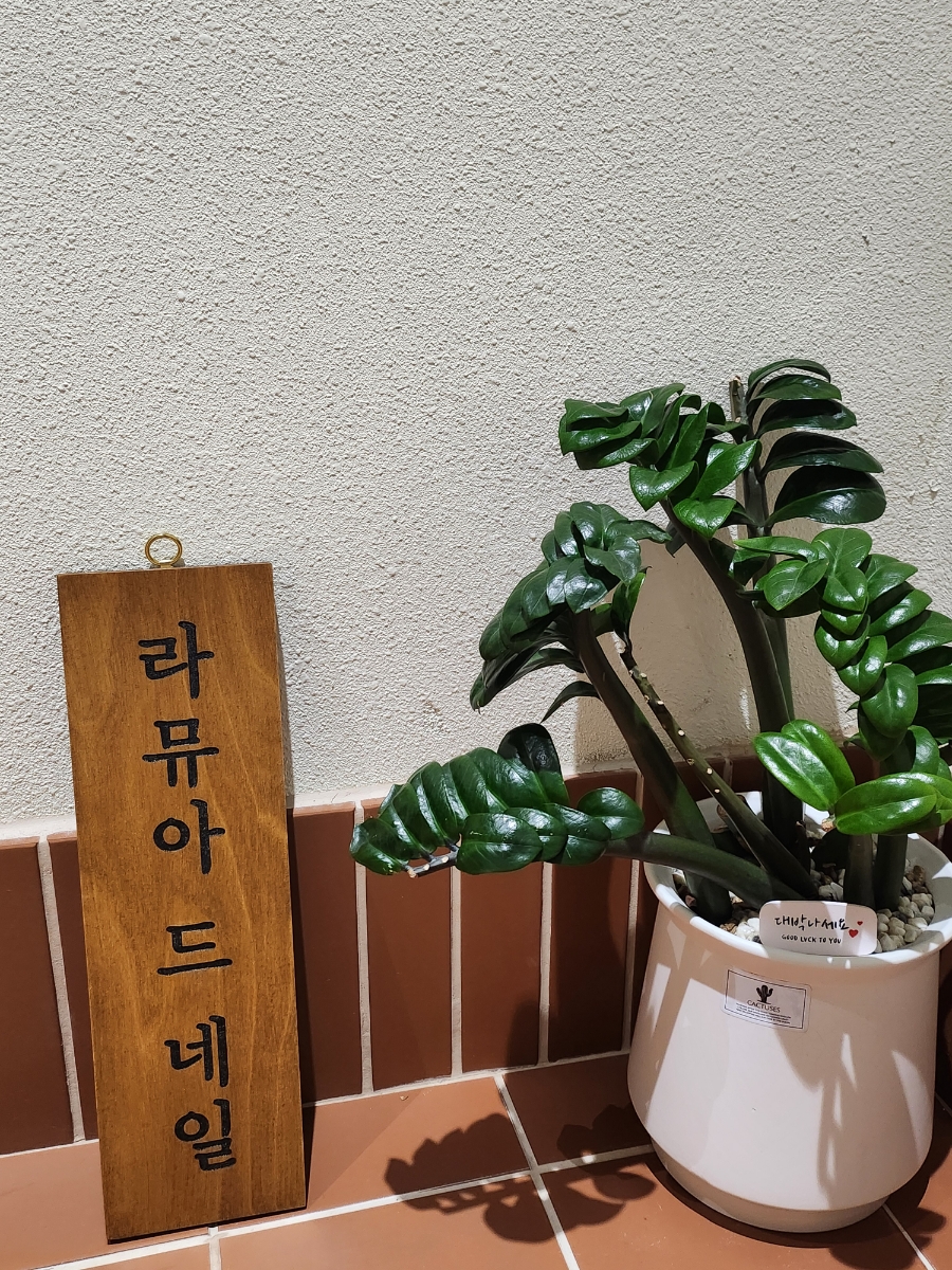라뮤아네일 이미지