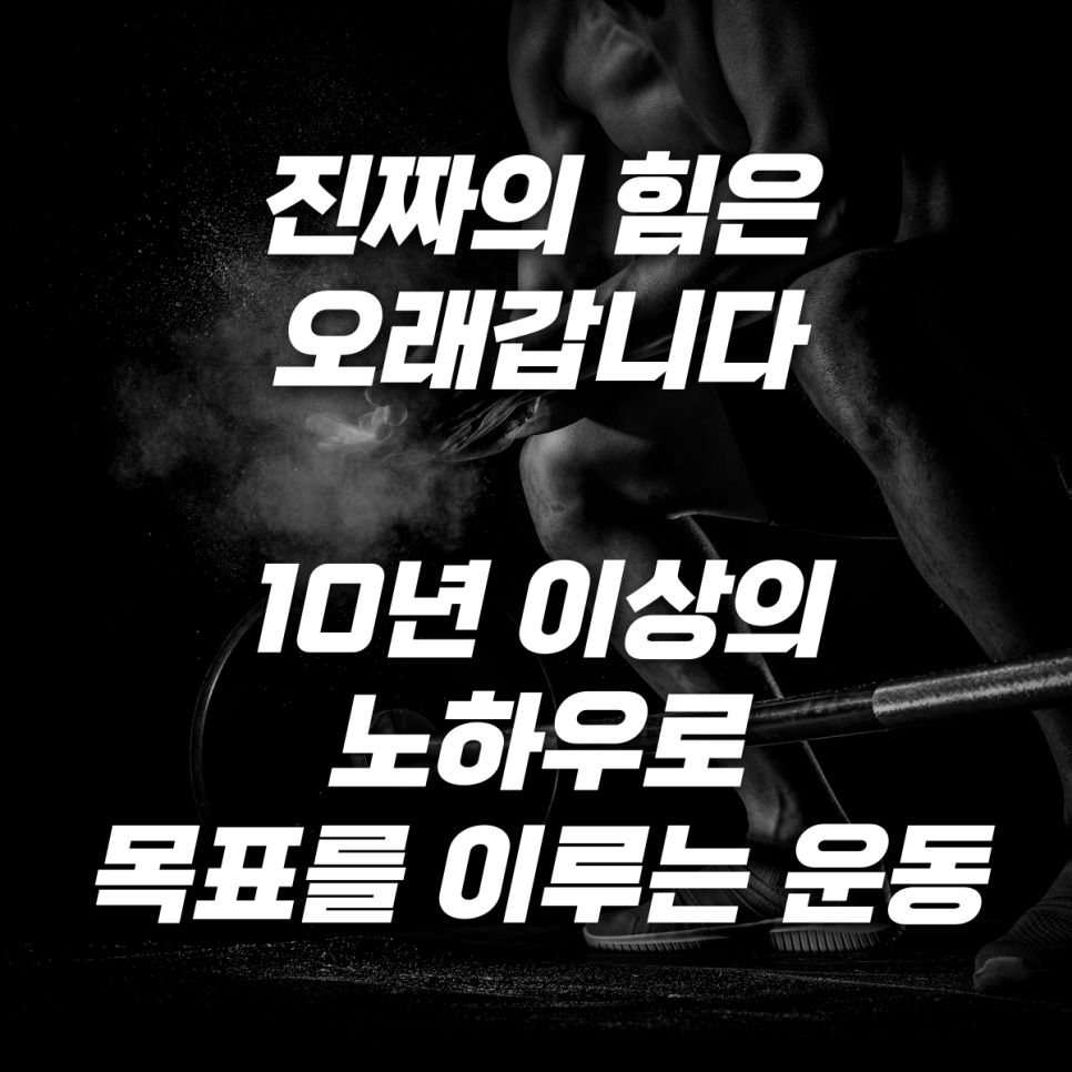 트랜스바디짐 이미지