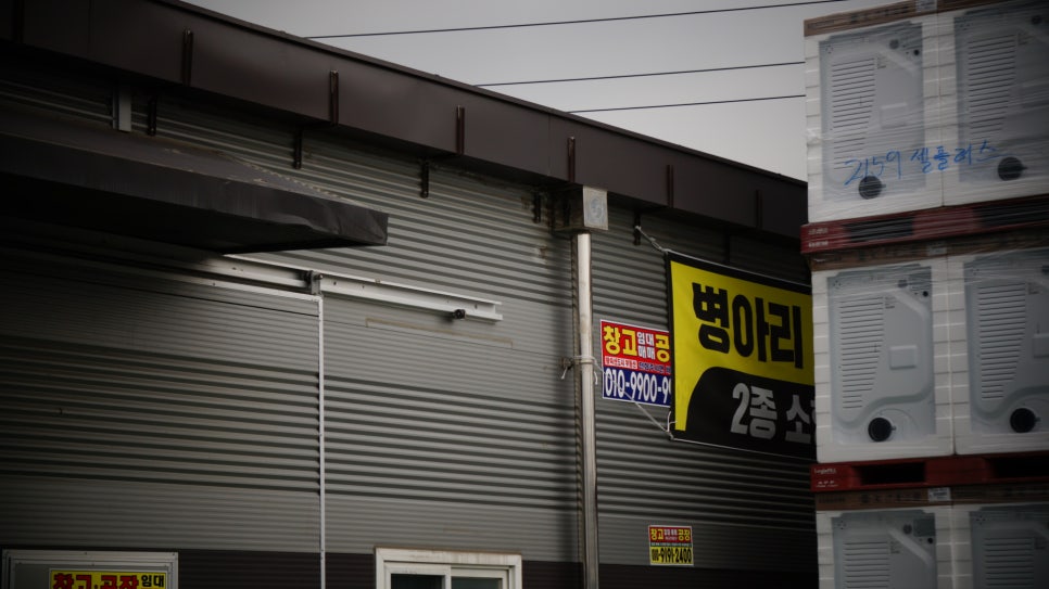 병아리라이더스 이미지