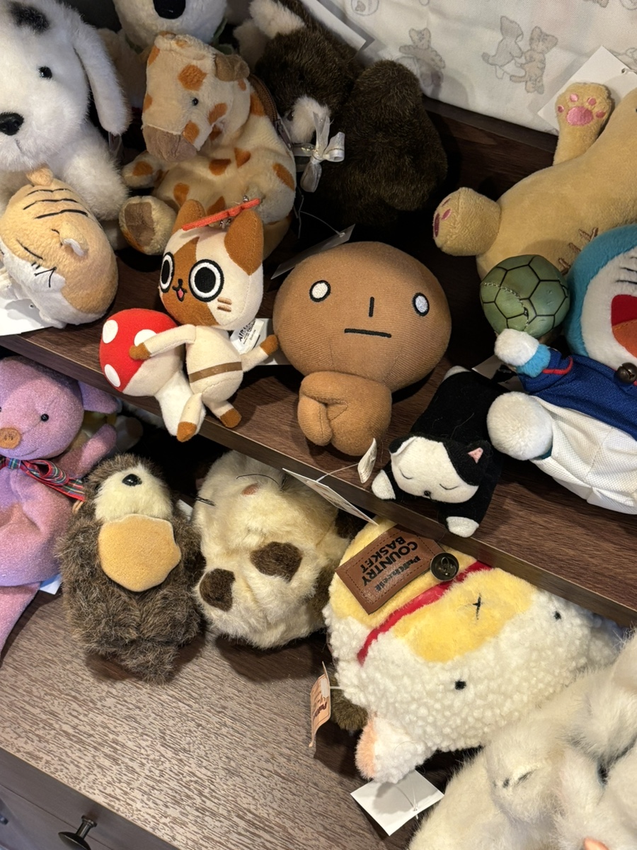 화르곰 이미지