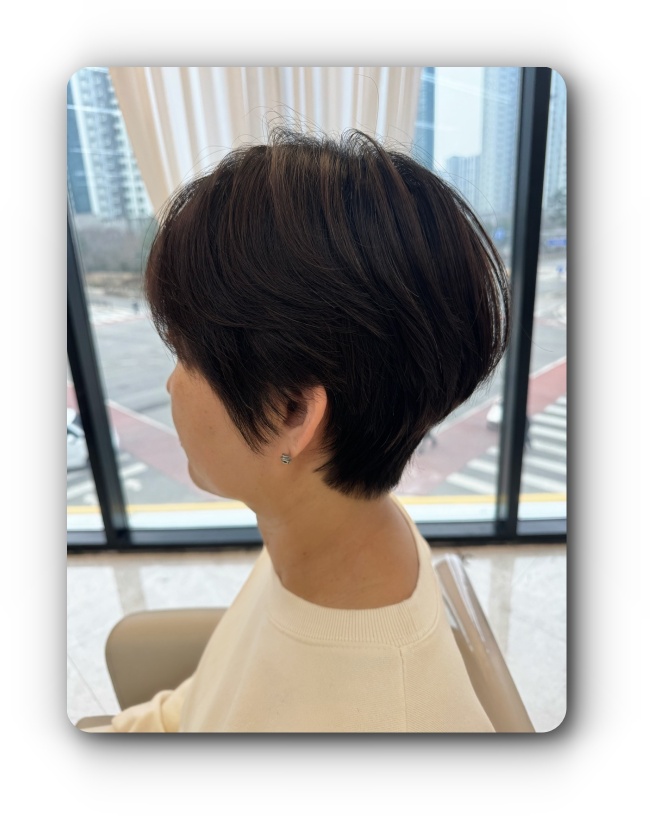 모엘헤어 이미지