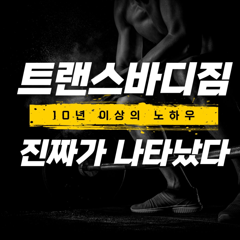 트랜스바디짐 이미지