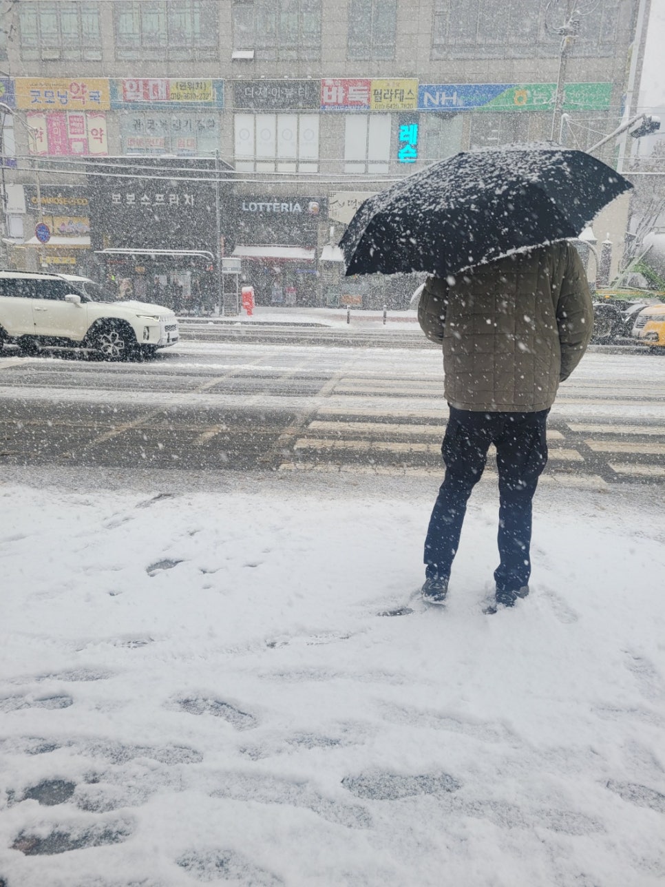 새봄인쇄사 이미지