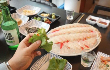 회프로 이미지