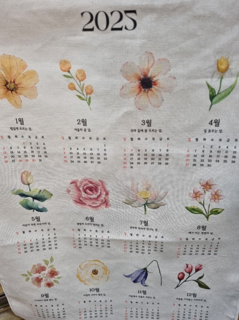 카타리나부엌 이미지