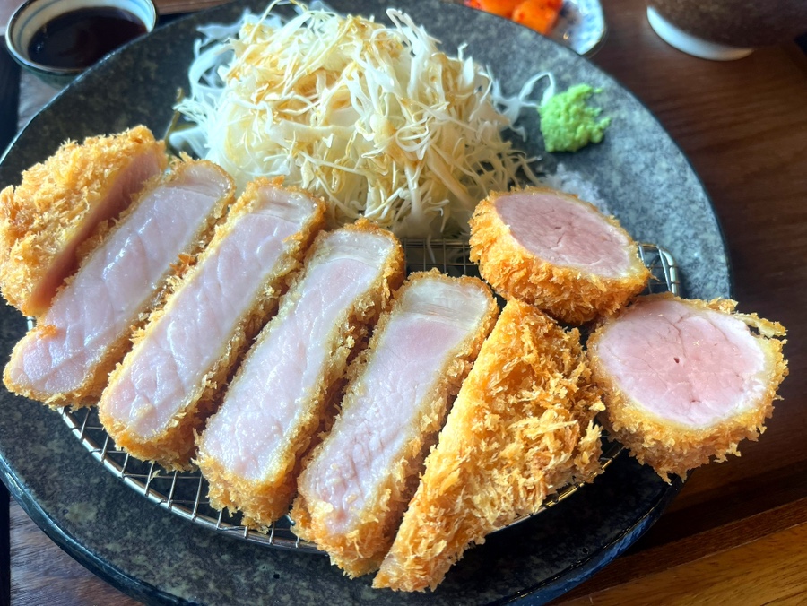 카츠닉 이미지