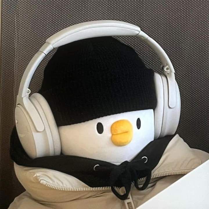 더오리 이미지