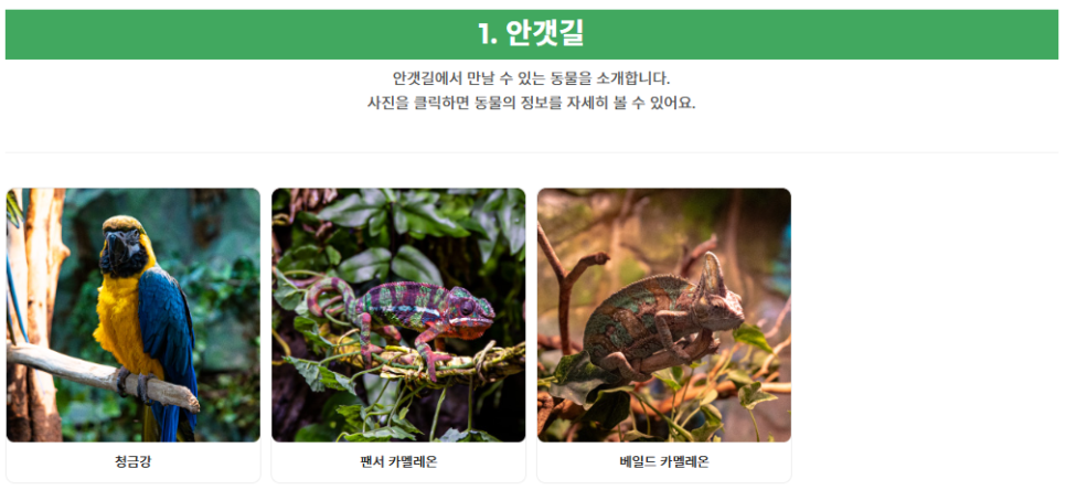 영등포키즈 이미지
