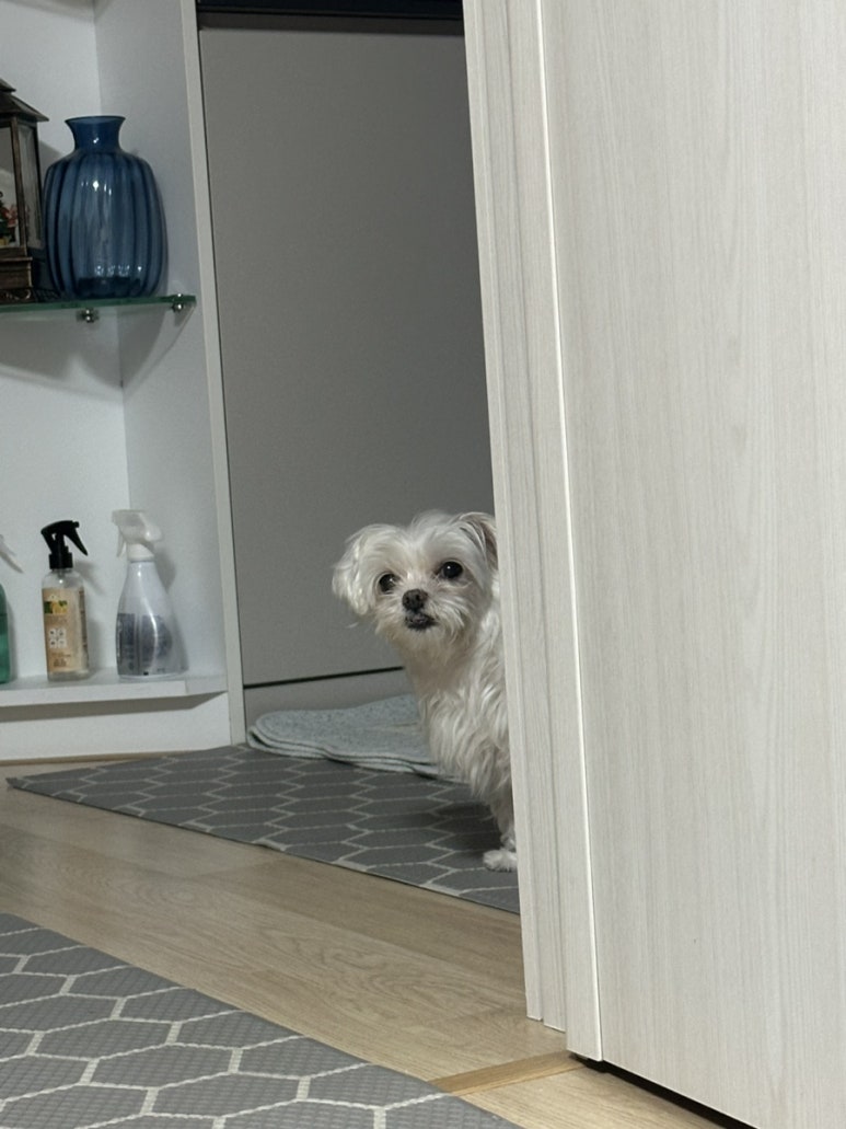 명덕양꼬치 이미지