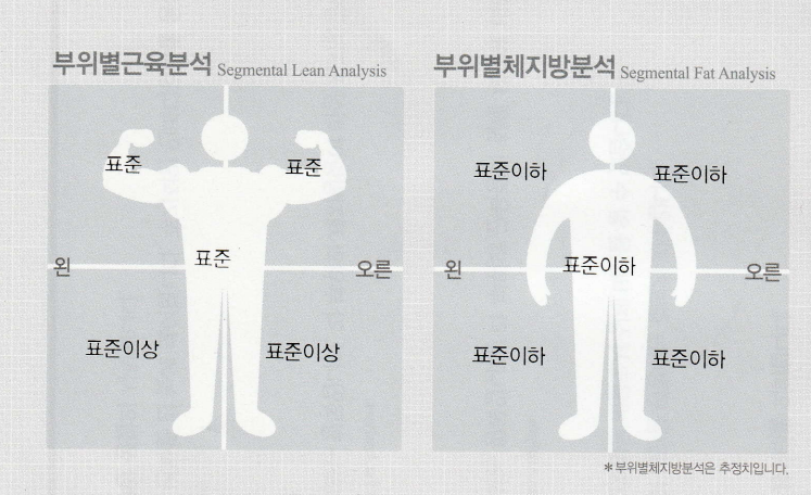 더드림피트니스 이미지