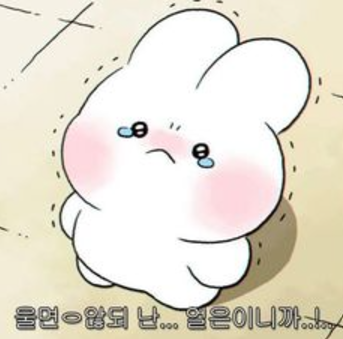 디딤돌인테리어 이미지