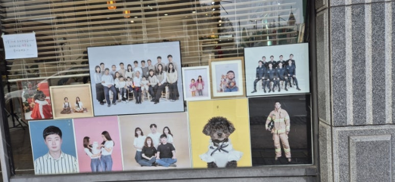 사파리사진관청주점 이미지