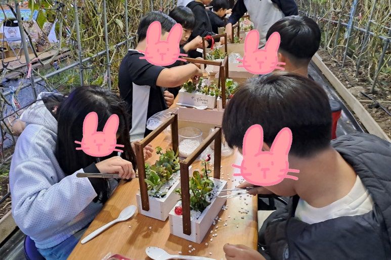 꽃길다육 이미지
