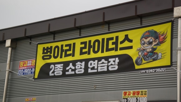 병아리라이더스 이미지