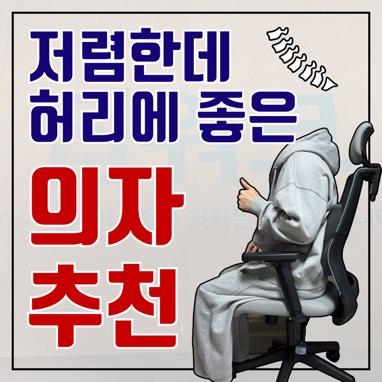 딥워크 인생의자 PRO / 허리에 좋은 가성비 컴퓨터 의자 추천 내돈내산 한 달 후기 : 네이버 블로그