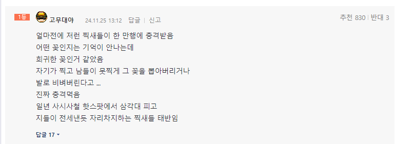 정상 포토존 이미지